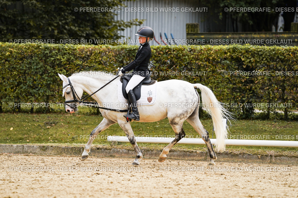 DSC09581 | Pferdegrafie