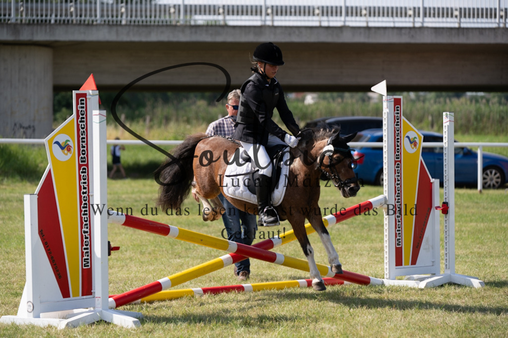 A7V00510 | Pferdefotograf