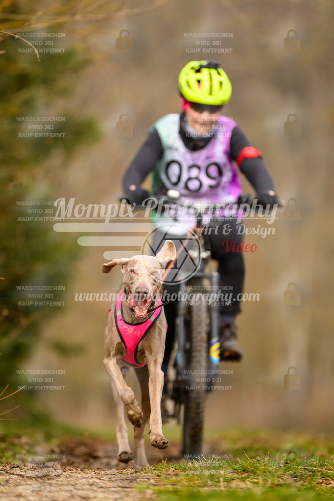 MompixPhotography_Schwabentrail2024_Bike-74 | PayLife