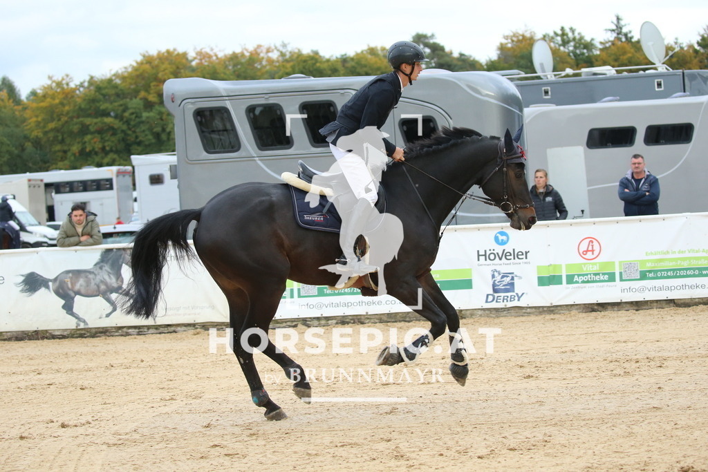 DL2Q5782 | Willkommen bei Brunnmayr - Design & Fotografie – Ihrem Spezialisten für Reitturniere und Pferdeveranstaltungen in Oberösterreich, Salzburg und Bayern! Seit über 17 Jahren sind wir leidenschaftlich dabei.