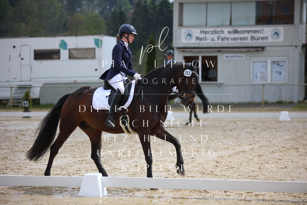 IMGT2728 | pl-fotografie