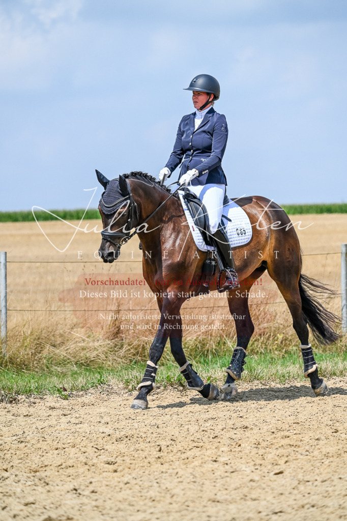 DSC_2709 | Pferde- und Turnierfotografie in Westsachsen. Pferdeportraits, Auftragszeichnungen und intuitive Kunst.