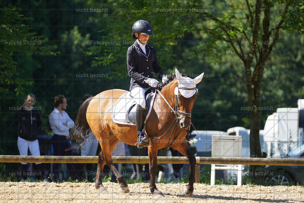 20240706-FAH04944 | Grafing Turnierfotos, Reitverein Ebersberg, Turnierfotografen Bayern, reitsportbilder, Pferdefotograf, reitsportfotograf, Sportbilder, Reitsportfotografie, Fotoagentur Herrmann, Turnierfotograf
