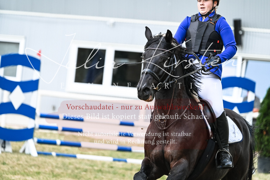 DSC_8976 | Pferde- und Turnierfotografie in Westsachsen. Pferdeportraits, Auftragszeichnungen und intuitive Kunst.