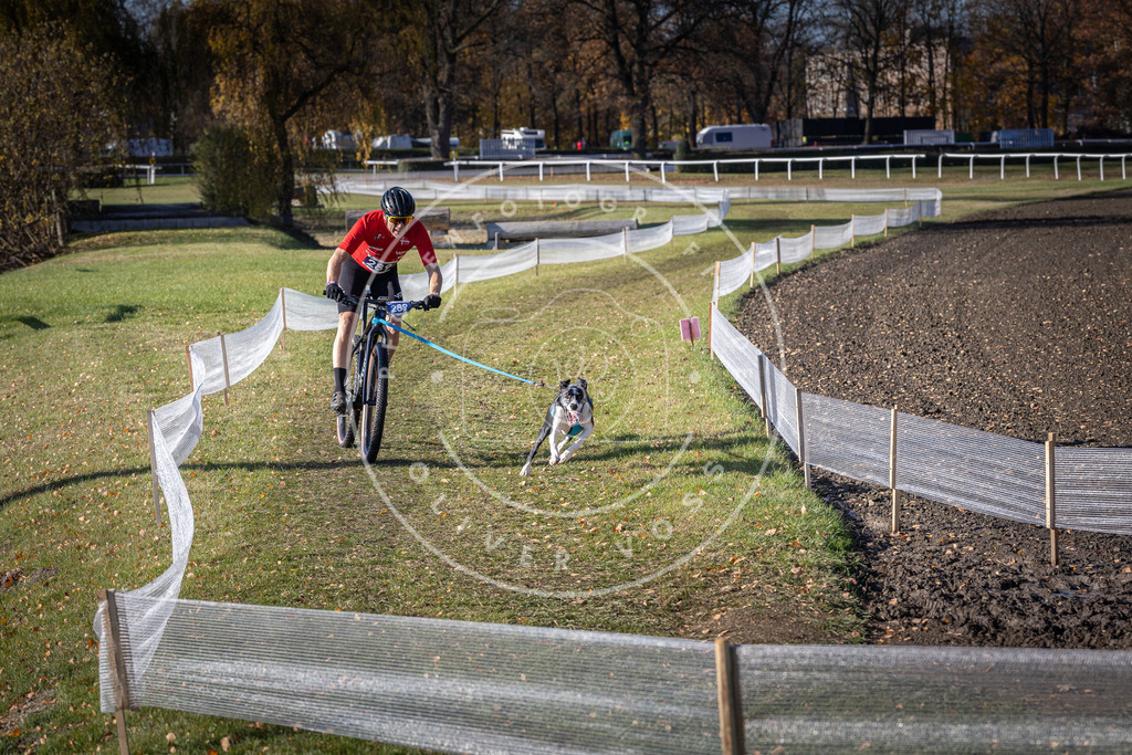 CaniXpix_DV3A5789 | Hundefotografie, Tierfotograf, Pfotenfotografie, Fotoshooting Hund, Hunde Portrait, Hundesport, Hundeportraits, Heideshooting, Hunde, Sportfotograf, Hundefotograf, Turnierhundsport, THS,  - Realisiert mit Pictrs.com
