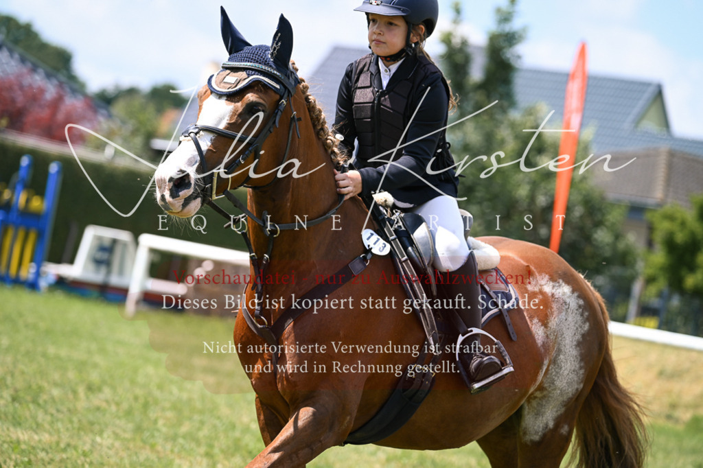 DSC_9222 | Pferde- und Turnierfotografie in Westsachsen. Pferdeportraits, Auftragszeichnungen und intuitive Kunst.