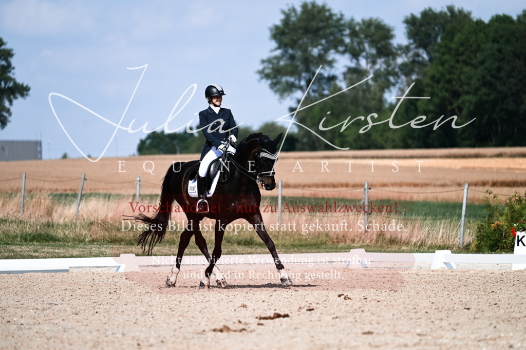 DSC_3299 | Pferde- und Turnierfotografie in Westsachsen. Pferdeportraits, Auftragszeichnungen und intuitive Kunst.