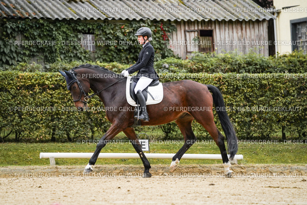 DSC06349 | Pferdegrafie