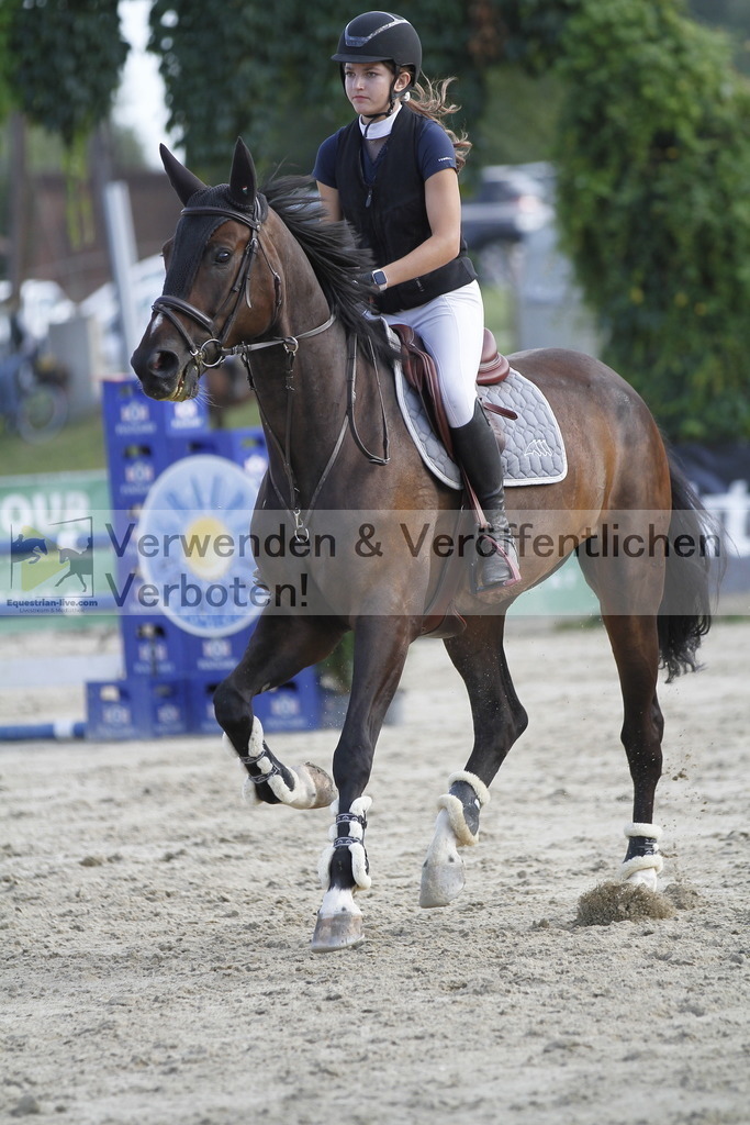 _MG_6236 | equestrian-live-com