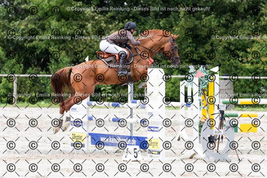 CL5A9415 | Emilia Reinking Fotografie - Realisiert mit Pictrs.com