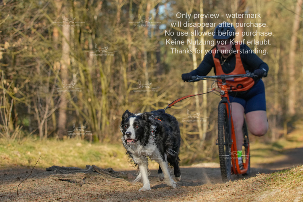 Sa_Scooter-184 | stephaniefillaphotographie - Realisiert mit Pictrs.com