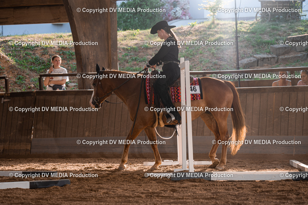 NE101212 | dv-media-shop - Realisiert mit Pictrs.com