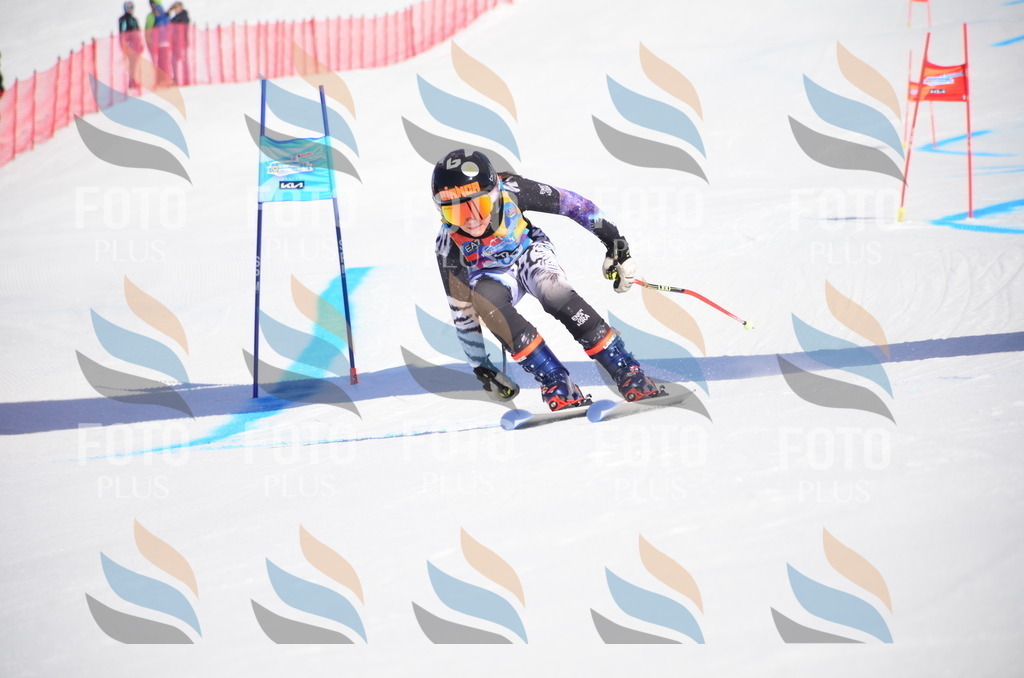 VR4_9345 | holidayphoto