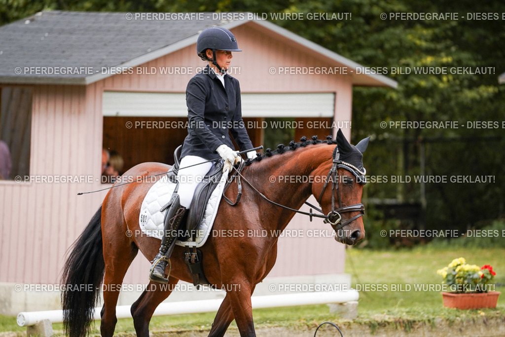 DSC09231 | Pferdegrafie