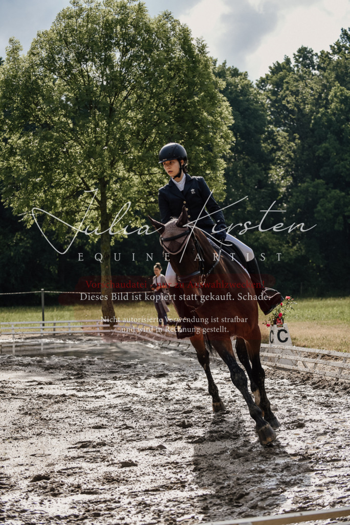 DSC_8600 | Pferde- und Turnierfotografie in Westsachsen. Pferdeportraits, Auftragszeichnungen und intuitive Kunst.