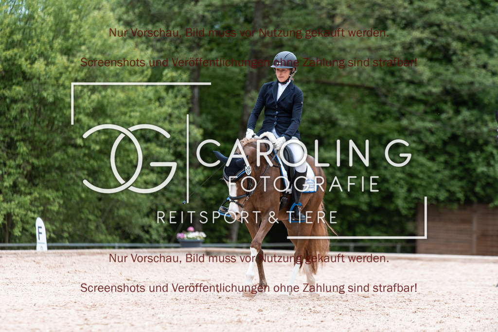 DSC_6733 | Turnierfotografin Carolin Gieschke,Reitsport Turnierfotografie Carolin G Fotografie | Turnierfotos aus Kirchheim/Teck, Esslingen, Stuttgart und dem Bodenseekreis