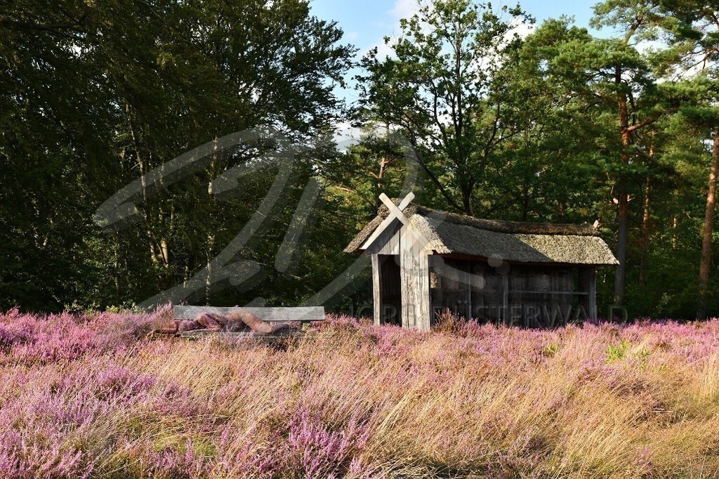 NatureArt-LILAHEIDE_2045 | Ruhen in der Nachmittagssonne | #005 | Modell: Katey | Foto: Carsten Korwes - Realisiert mit Pictrs.com