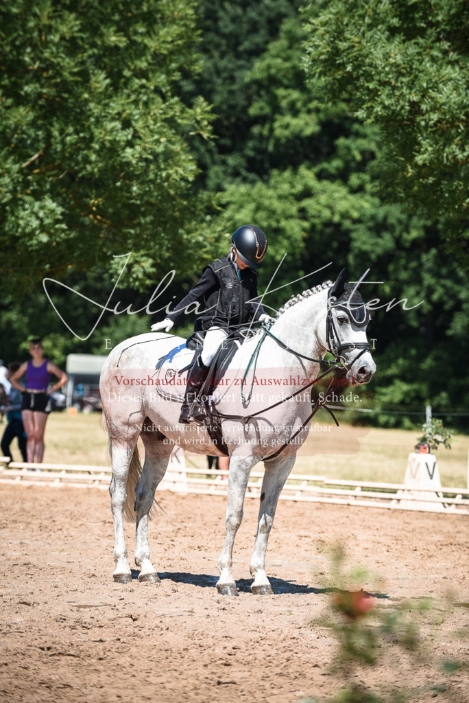 DSC_3091 | Pferde- und Turnierfotografie in Westsachsen. Pferdeportraits, Auftragszeichnungen und intuitive Kunst.