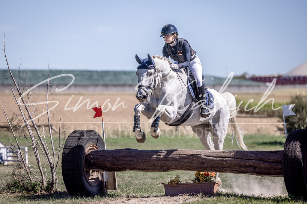 20260906-_3LI4345 | Tierfotografie Pferde, Hunde, Katzen, Haustiere.
Turnierfotografie Reitturniere, Reiten, Springreiten, Dressur in Hanau, dem Main-Kinzig-Kreis und dem Rhein-Main- Gebiet um Frankfurt