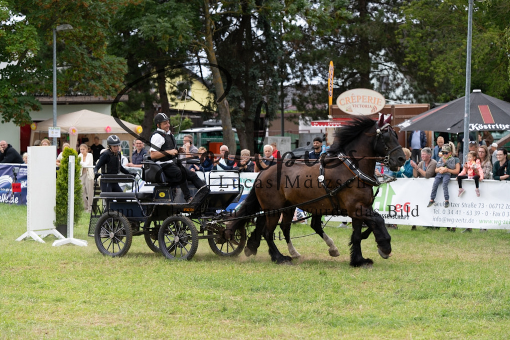 A7V06168 | Pferdefotograf