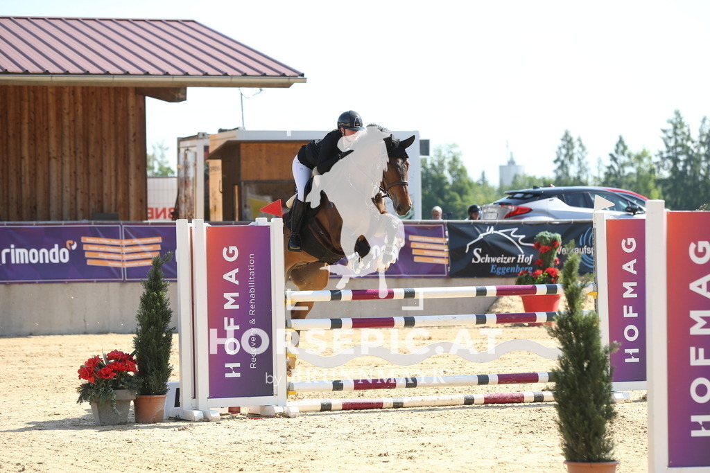 DL2Q0839 | Willkommen bei Brunnmayr - Design & Fotografie – Ihrem Spezialisten für Reitturniere und Pferdeveranstaltungen in Oberösterreich, Salzburg und Bayern! Seit über 17 Jahren sind wir leidenschaftlich dabei.