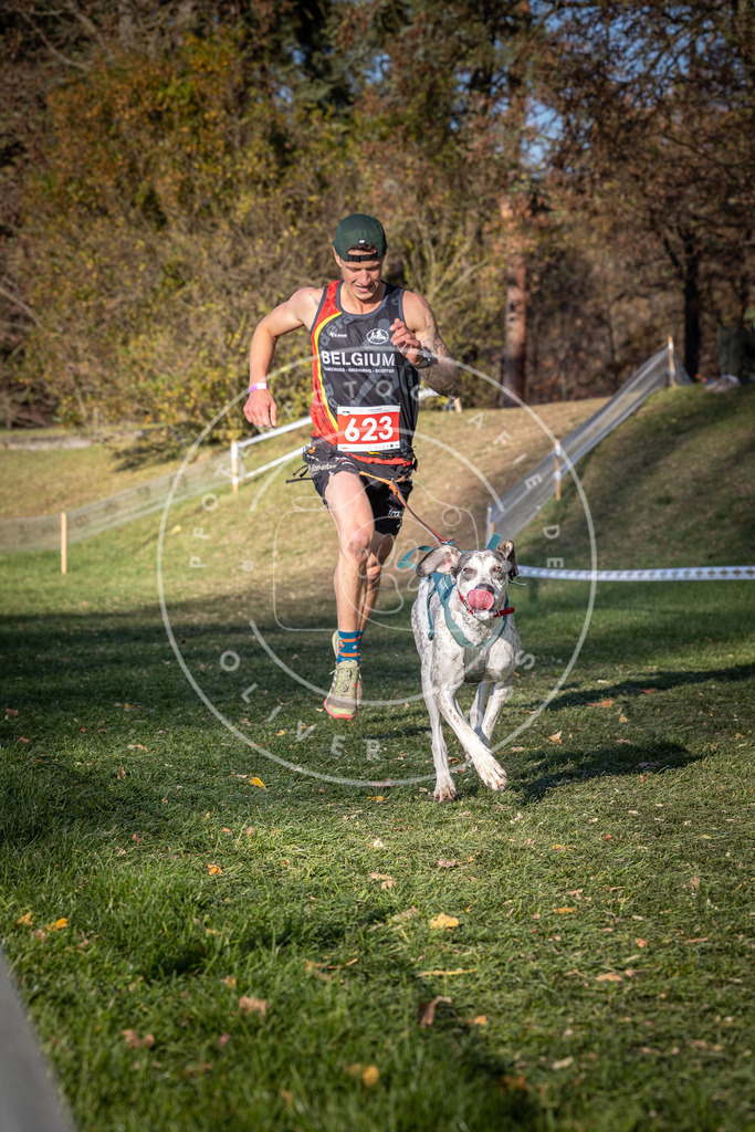 CaniXpix_0L8A8805 | Hundefotografie, Tierfotograf, Pfotenfotografie, Fotoshooting Hund, Hunde Portrait, Hundesport, Hundeportraits, Heideshooting, Hunde, Sportfotograf, Hundefotograf, Turnierhundsport, THS,  - Realisiert mit Pictrs.com