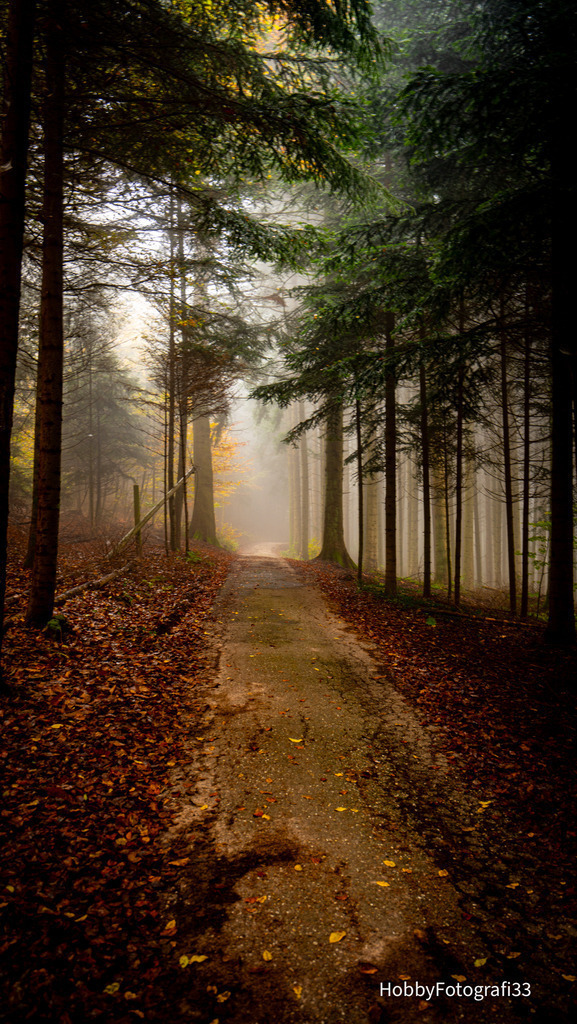 DSC04832 | fotografie33