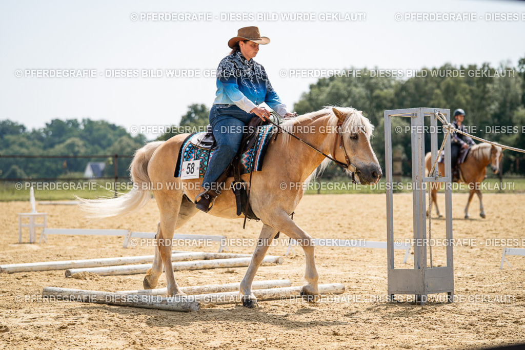 DSC00025 | Pferdegrafie