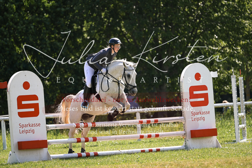 DSC_8883 | Pferde- und Turnierfotografie in Westsachsen. Pferdeportraits, Auftragszeichnungen und intuitive Kunst.