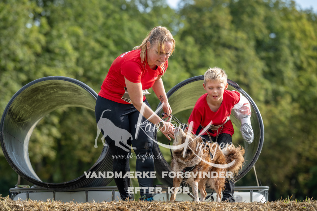 0952_ZZ91500 | kk-dogfotos