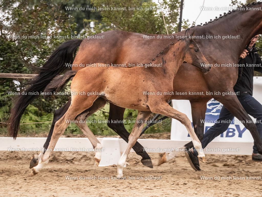 A10I6222 | photographylinaismer - Realisiert mit Pictrs.com