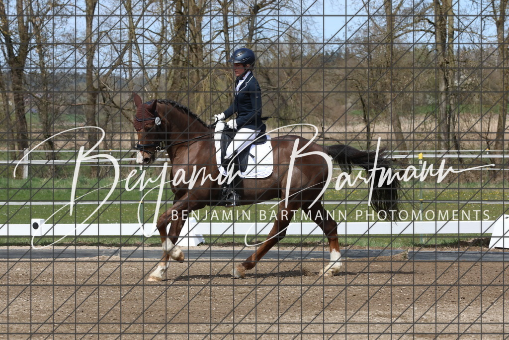 AZ2A3879 | Benjamin Bartmann Photomoments