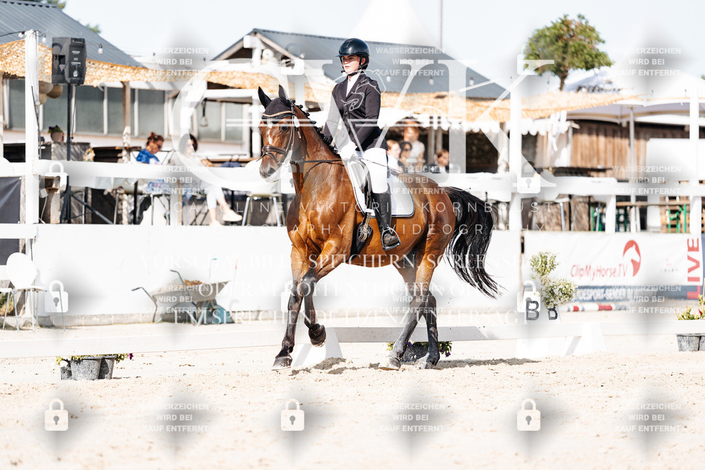 CK905752 | Turnierfotografie Pferdefotografie Trier Rheinland-Pfalz Pferdesport Reitsport Tierfotografie Sportfotografie Pferdevideo Pferdevideografie Equestrianvideography equestrianphotography  - Realisiert mit Pictrs.com