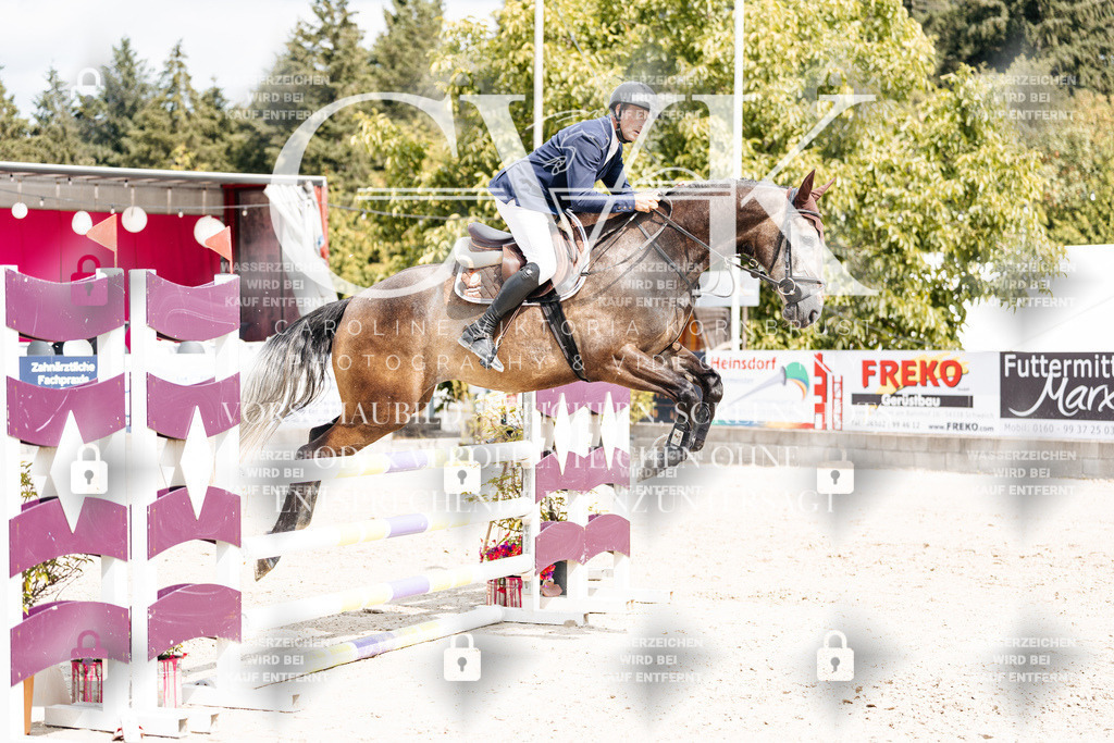 CK909220 | Turnierfotografie Pferdefotografie Trier Rheinland-Pfalz Pferdesport Reitsport Tierfotografie Sportfotografie Pferdevideo Pferdevideografie Equestrianvideography equestrianphotography  - Realisiert mit Pictrs.com