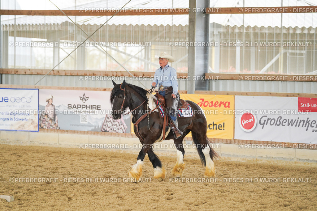 DSC04282 | Pferdegrafie