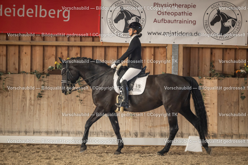 _D5A3150 | Emotionale Pferde- & People-Fotografie rund um Heidelberg, Leimen & Umgebung. Natürliche Fotos von Pferd, Mensch & Familie. Jetzt Termin sichern!