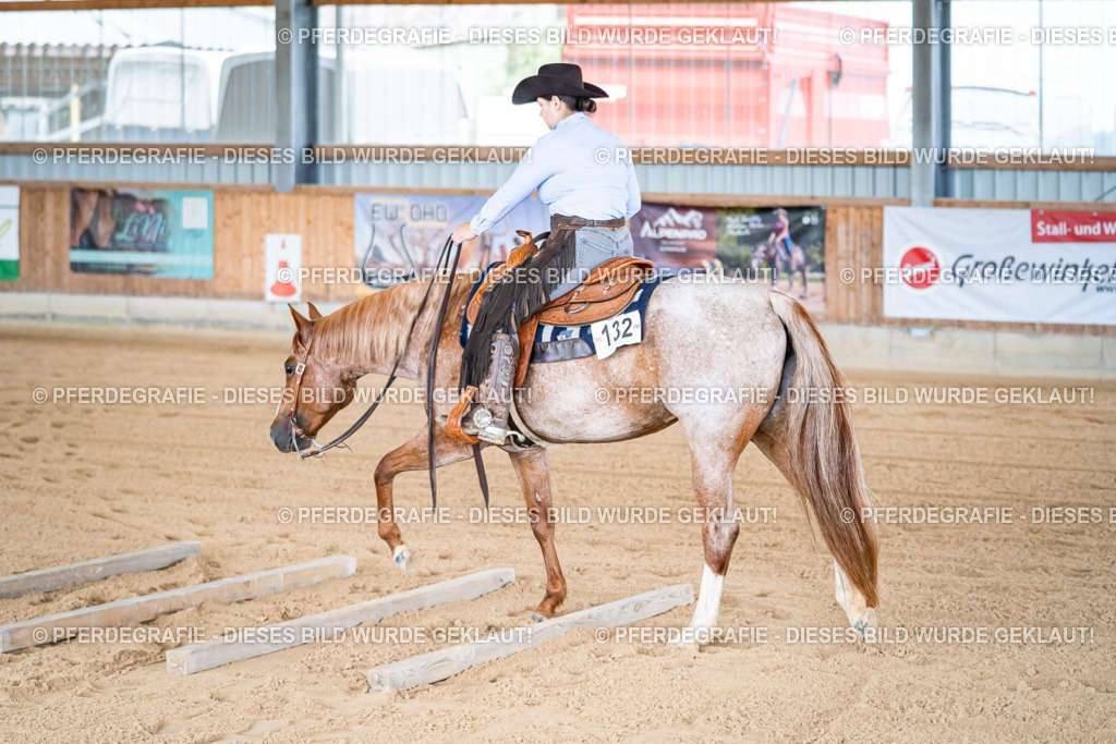 DSC08117 | Pferdegrafie