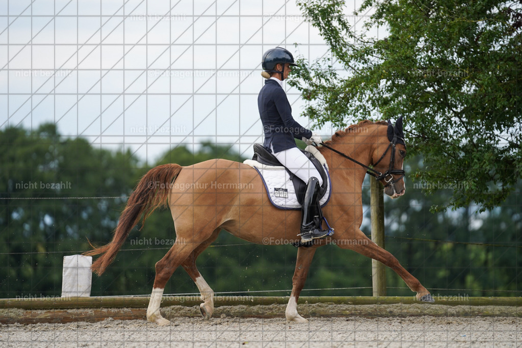 20230826-FAH04333 | Forstinning, 2023, Dressurturnier, Turniersportbilder, Turnierfotografen Bayern, Fotoagentur Herrmann, Reitsportfotografie, Turnierbilder