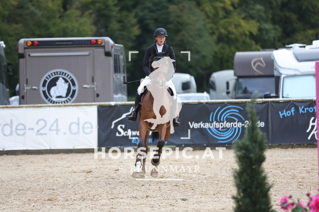 0P6A6794 | Willkommen bei Brunnmayr - Design & Fotografie – Ihrem Spezialisten für Reitturniere und Pferdeveranstaltungen in Oberösterreich, Salzburg und Bayern! Seit über 17 Jahren sind wir leidenschaftlich dabei.