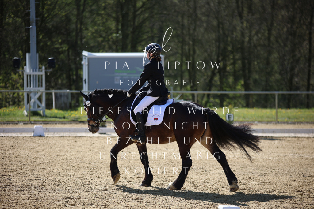 IMGT0357 | pl-fotografie