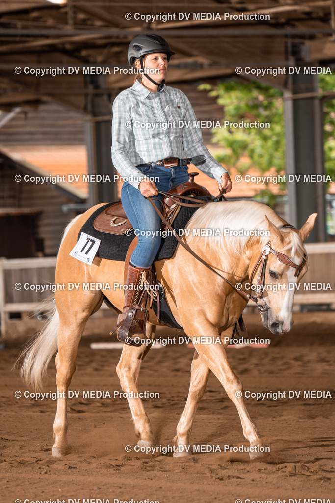 Erbach Tag 2-379 | dv-media-shop - Realisiert mit Pictrs.com