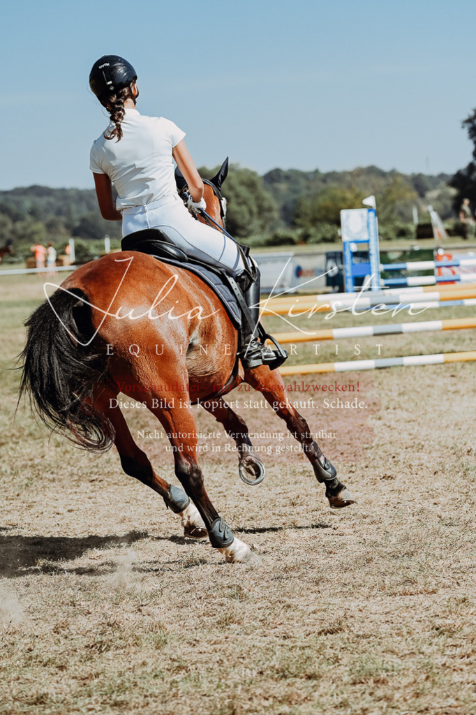 DSC_9889 | Pferde- und Turnierfotografie in Westsachsen. Pferdeportraits, Auftragszeichnungen und intuitive Kunst.