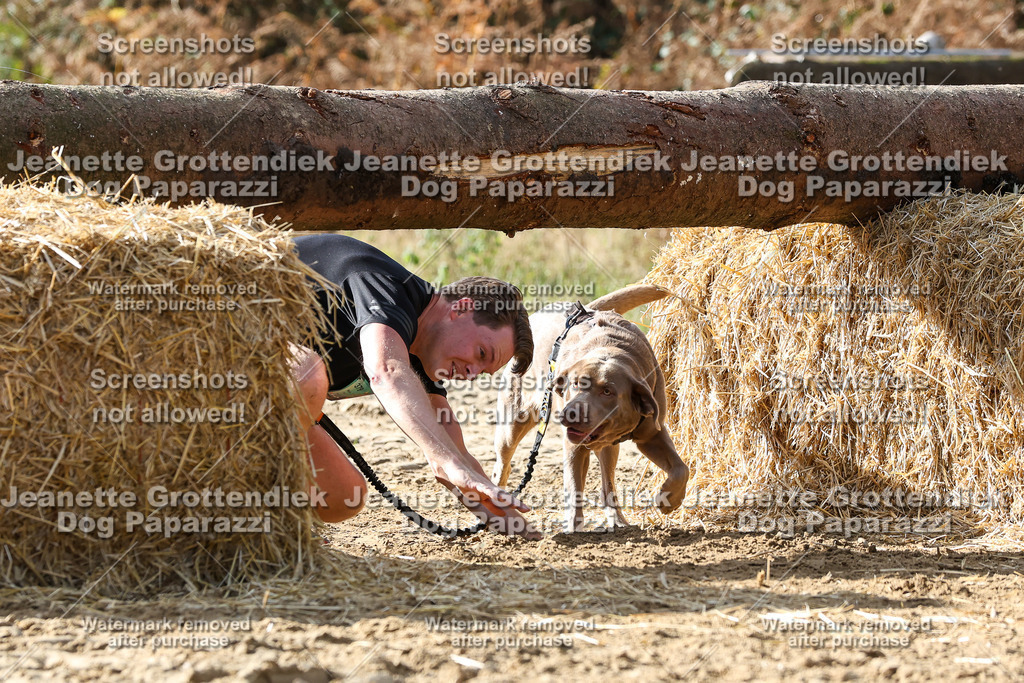 Dog Paparazzi - Strongdog 10-25-5712 | Dog Paparazzi Jeanette Grottendiek Fotografie & Videografie - Realisiert mit Pictrs.com