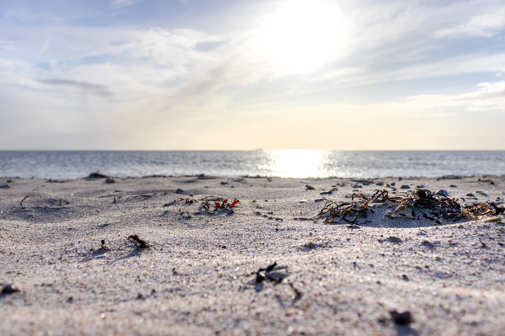 Akustikbild: Morgenstimmung an der Ostsee | Dieses Akustikbild im Querformat zeigt einen schönen Sonnenaufgang an der Ostsee. Im Vordergrund befindet sich der Sandstrand, der durch das morgendliche Sonnenlicht schön angeleuchtet wird. Am Horizont ist der blaue Himmel noch dezent gelblich. - Realisiert mit Pictrs.com