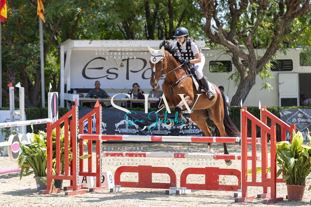 IMG_8013 | s-jay-photography - Realisiert mit Pictrs.com