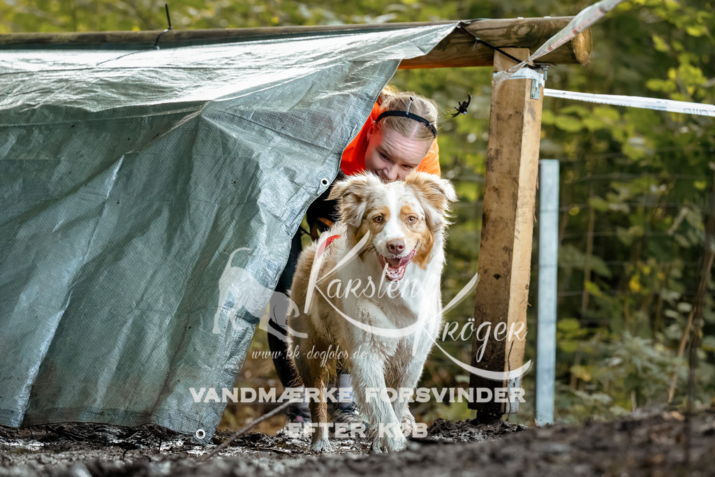 1415DZ6_1364-Bearbeitet-2Z6 | kk-dogfotos