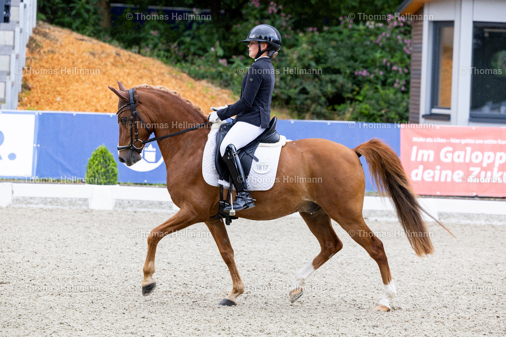 TH_1817 Golden Surprise 5 (GER)_ Lisa von Helldorff_31726 | Elmloher Reitertage 2025 am 01.08.25 in Elmlohe,