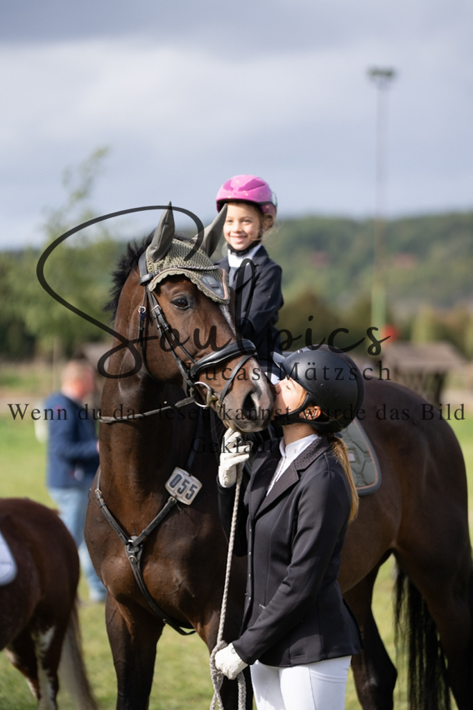 A7V07135 | Pferdefotograf