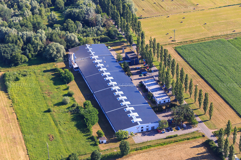 Luftbild: Pappelallee mit ConFas GmbH und Strasser Haustechnik im Ortsteil Schaidt in Wörth im Bundesland Rheinland-Pfalz in Deutschland. Foto: IMG_083068.jpg vom 26.06.2015 durch Werner Riehm/FLY-FOTO.deCONFAS-GMBH.DE