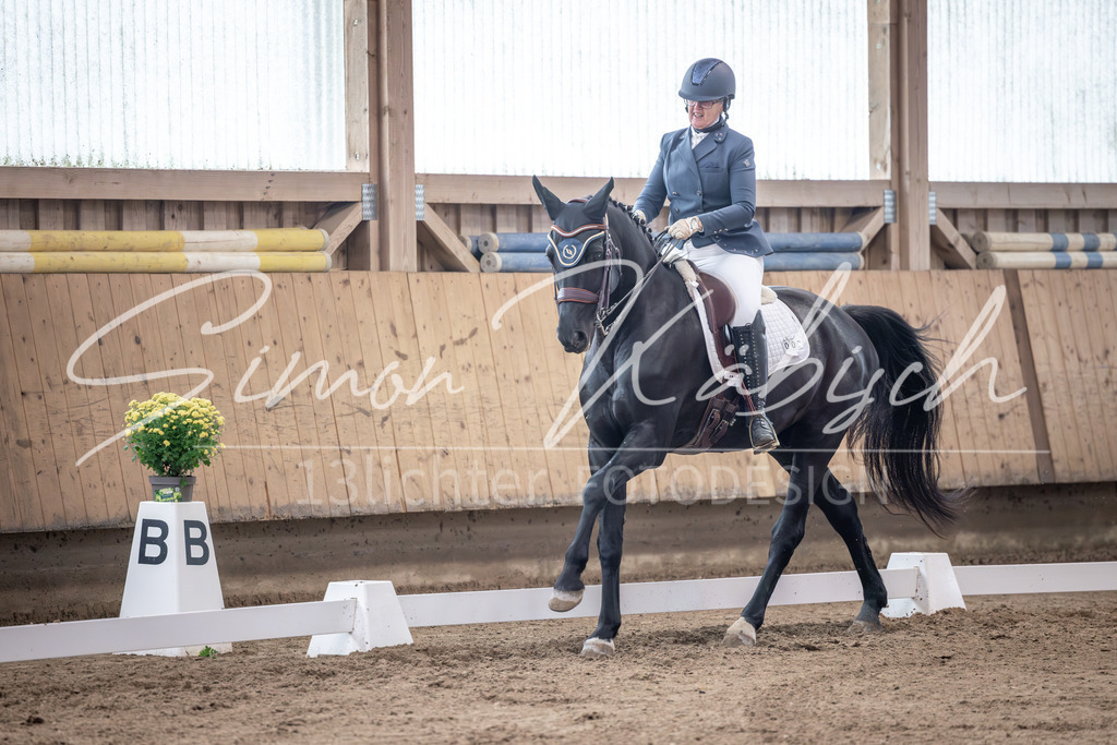 20251011-_3LI1158 | Tierfotografie Pferde, Hunde, Katzen, Haustiere.
Turnierfotografie Reitturniere, Reiten, Springreiten, Dressur in Hanau, dem Main-Kinzig-Kreis und dem Rhein-Main- Gebiet um Frankfurt